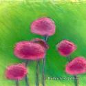 Red Flowers 2